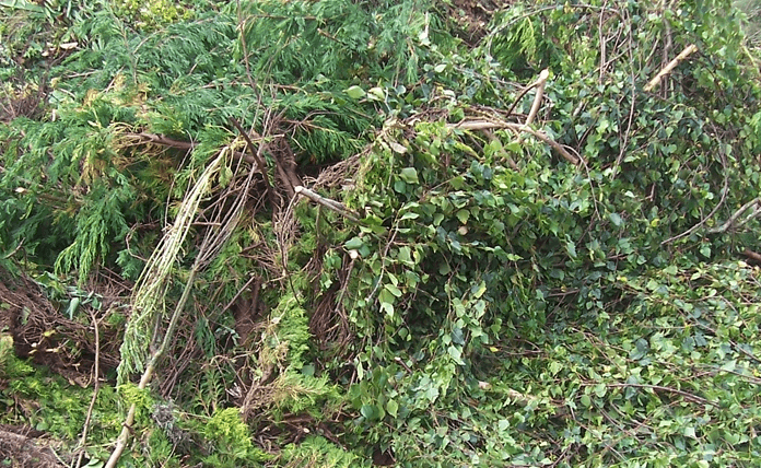 Bennes-déchets-verts