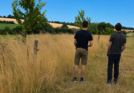 carbomauges biodiversité brangeon